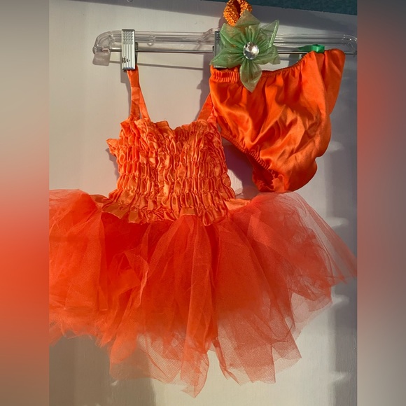 Pumpkin Tutu 6-12 months Orange tutu dress with satin diaper cover & headpiece. - Picture 4 of 6